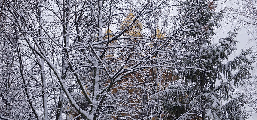 Фото: Сергей Егоров