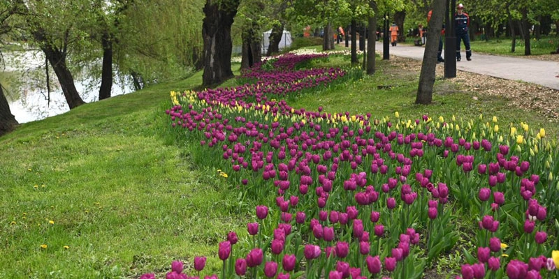 Фото: пресс-служба мэрии Белгорода