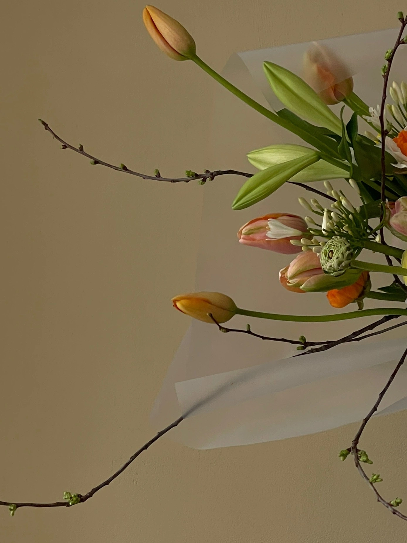 Secret Garden, магазин цветов Белгород