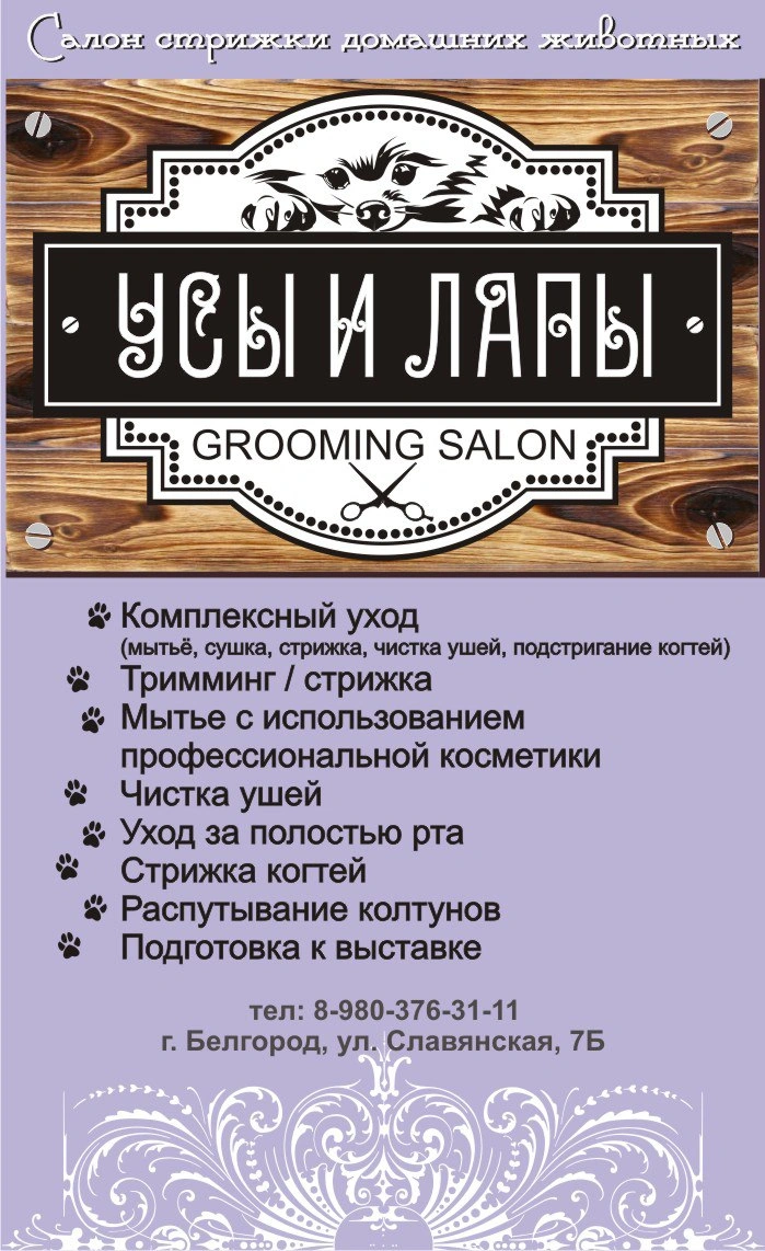 Усы и Лапы, груминг Белгород