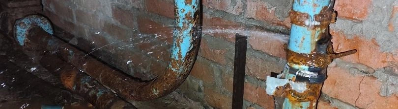 Фото: социальные сети Вячеслава Гладкова