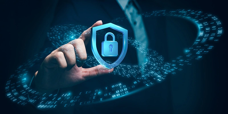 Фото:  Shutterstock/Pingingz