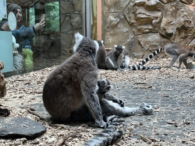 Фото: Анна Григор
