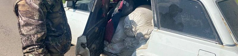 Фото: пресс-служба УМВД России по Белгородской области