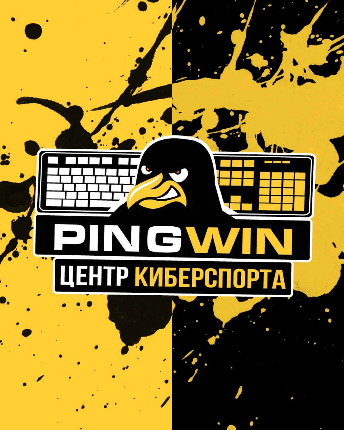 PingWin Arena, компьютерный клуб Белгород