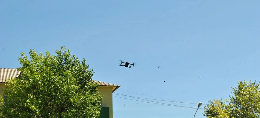 Фото: Максим Алтухов