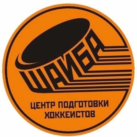 Центр подготовки хоккеистов "Шайба"