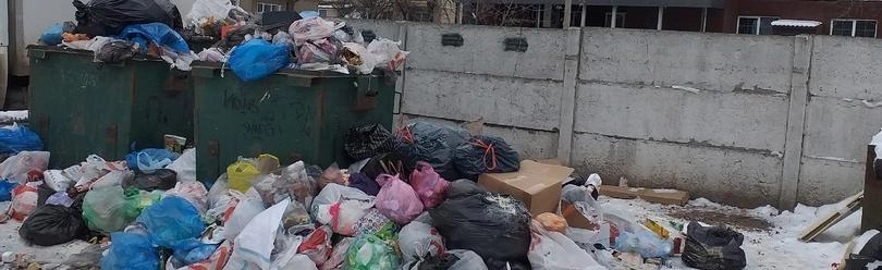 Фото: Людмила Новикова