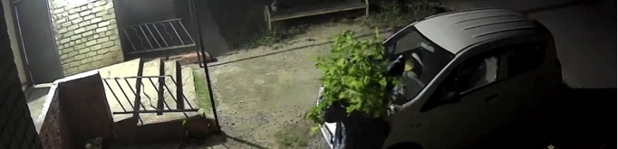 Фото: УМВД Белгородской области