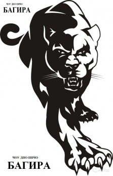 Багира -  Школа охраны Белгород 