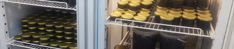 Фото: соцсети прокуратуры Белгородской области 