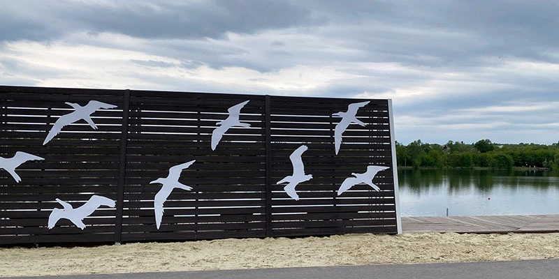 Фото: Александр Белашов