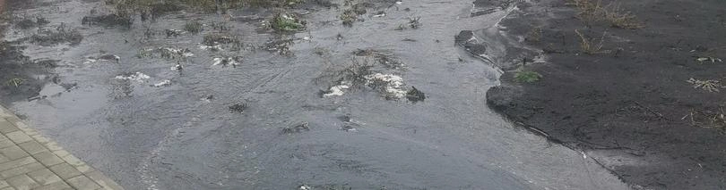 Фото: Veronika Verona