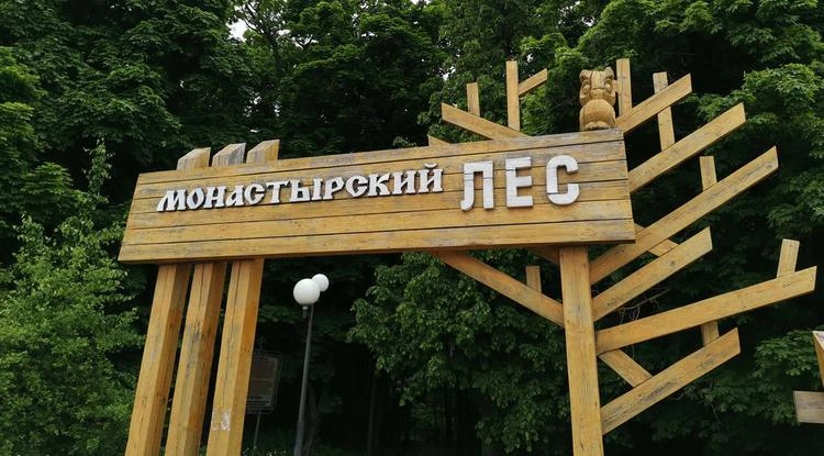 Монастырский лес Белгород