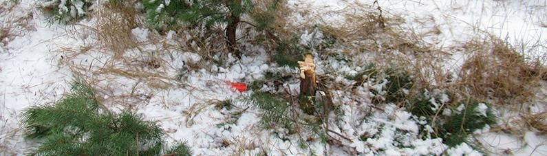 Фото: УМВД Белгородской области