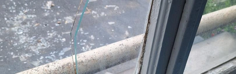 Фото: Александр Александров