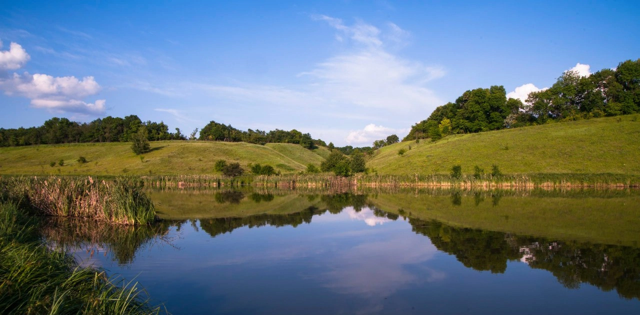 Крестов - рыбалка на хуторе в Белгородской области