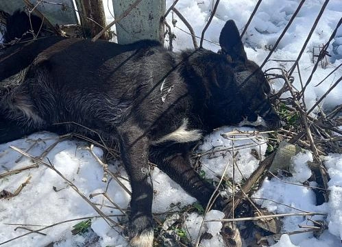 Фото: Ирина Самойлова