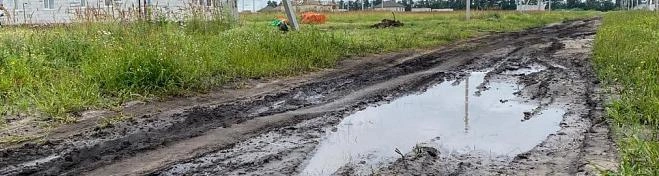 Фото: Анна Гура