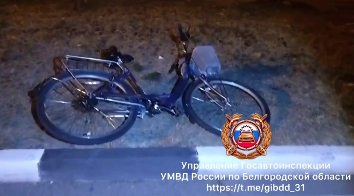 Фото: ГАИ региона