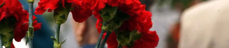 Фото: Сергей Егоров