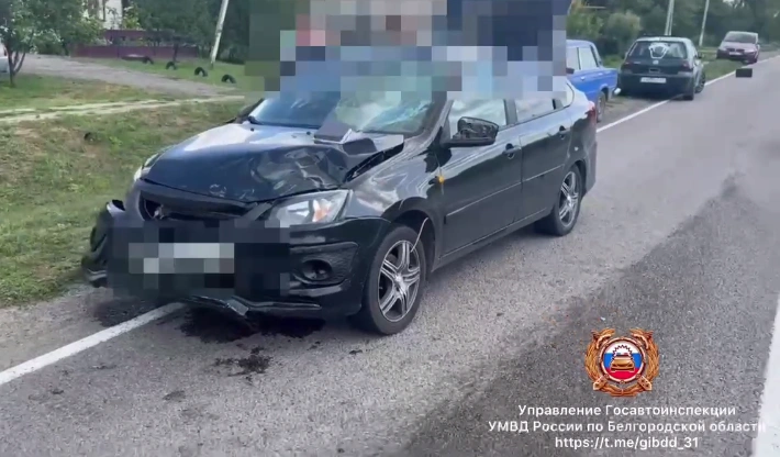 Фото: ГИБДД региона