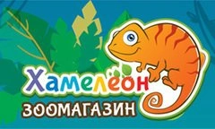 Хамелеон - зоомагазин Белгород