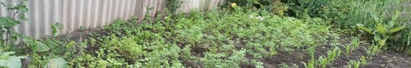 Фото: УМВД Белгородской области