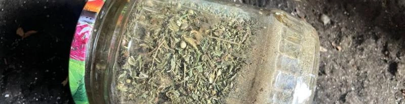 Фото: УМВД Белгородской области