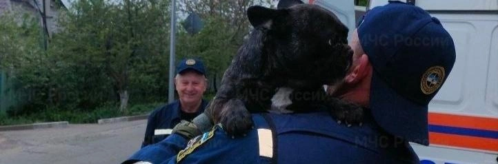Фото: МЧС Белгородской области