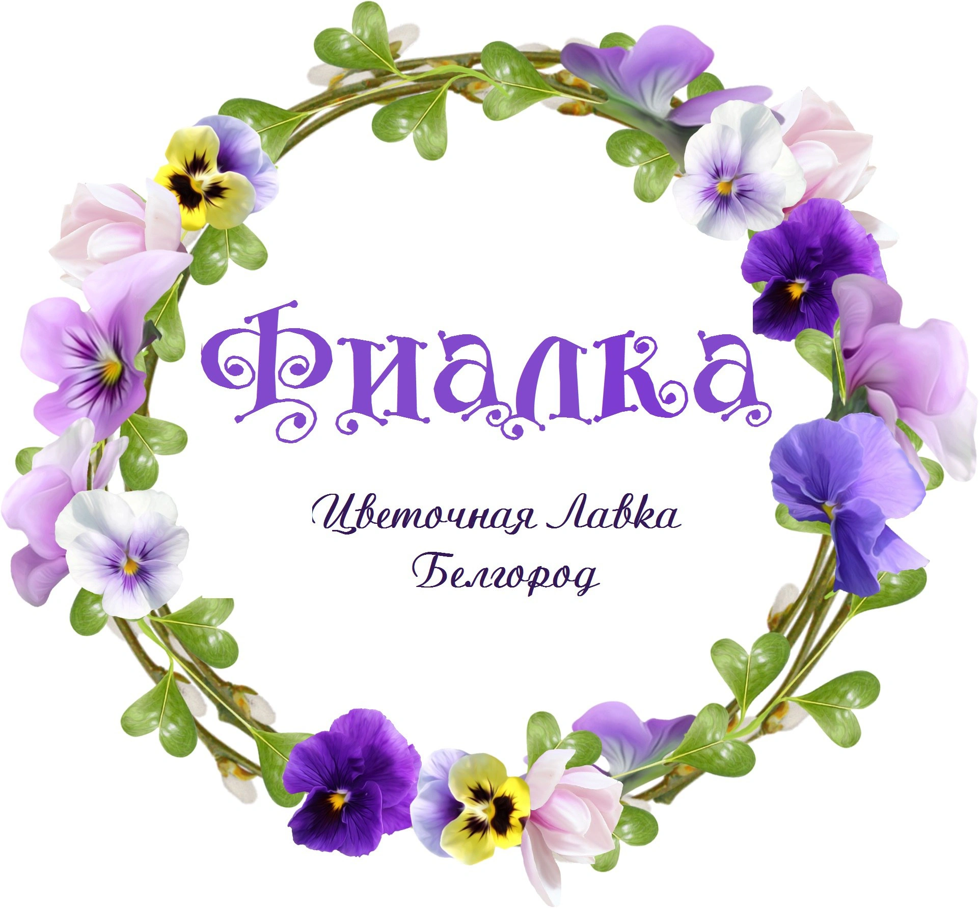 Фиалка, магазин цветов Белгород
