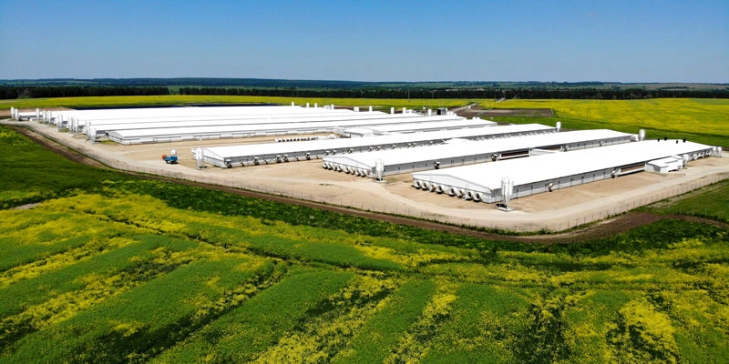 Фото: пресс-служба Мираторга