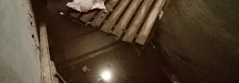 Фото: Татьяна Ткаченко