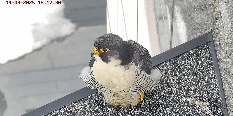 Фото: пресс-служба Банка Уралсиб