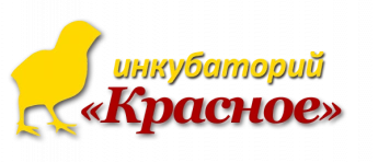 Инкубаторий Красное Белгород