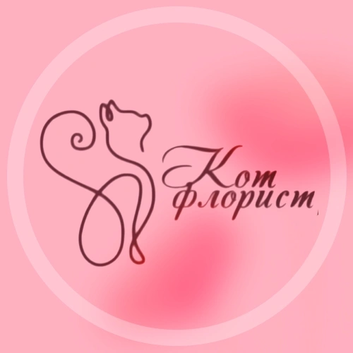 Кот-флорист, салон цветов Белгород