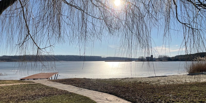 Фото: Максим Алтухов