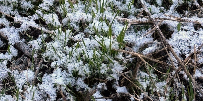 Фото: ГУ МЧС по Белгородской области