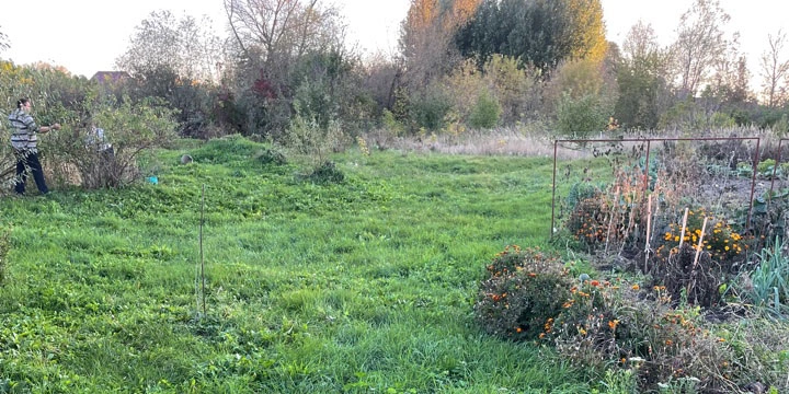 Фото: Максим Алтухов