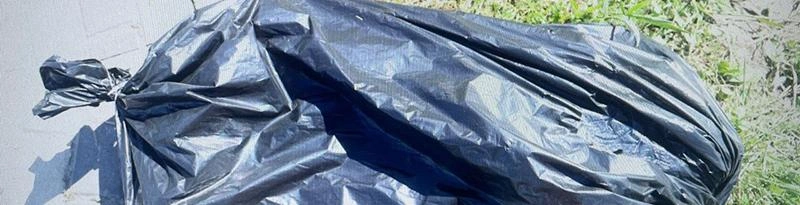 Фото: УМВД Белгородской области