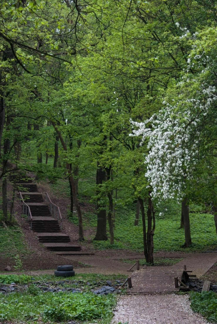 Архиерейская роща Белгород