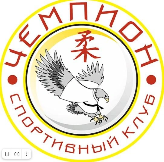 Чемпион, спортивный клуб Белгород