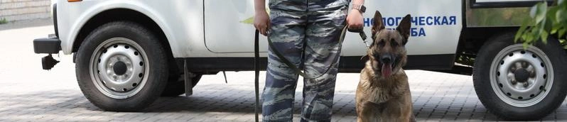 Фото: пресс-служба МВД России по Белгородской области