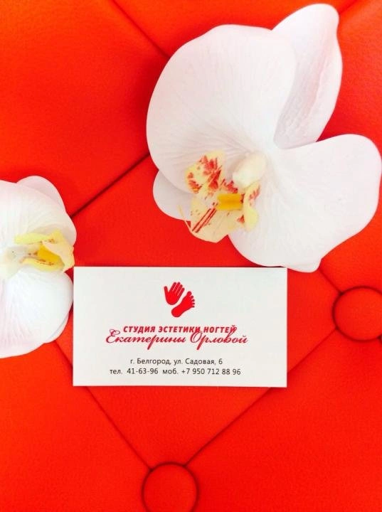 Студия эстетики ногтей Екатерины Орловой Белгород