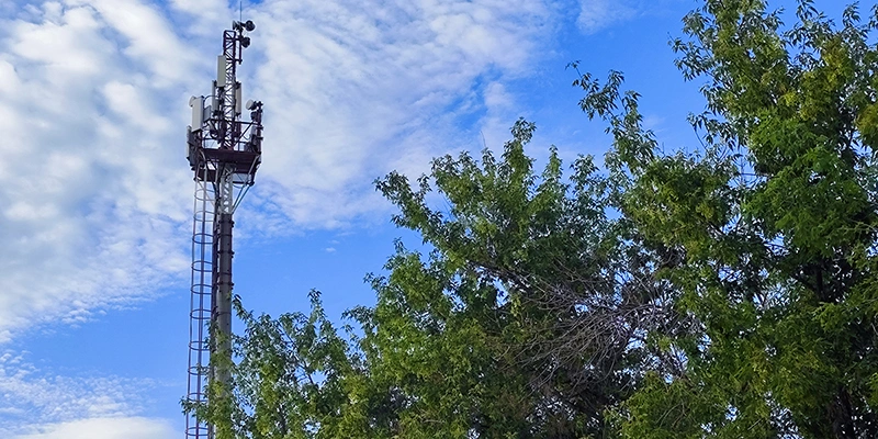 Фото: пресс-служба МТС