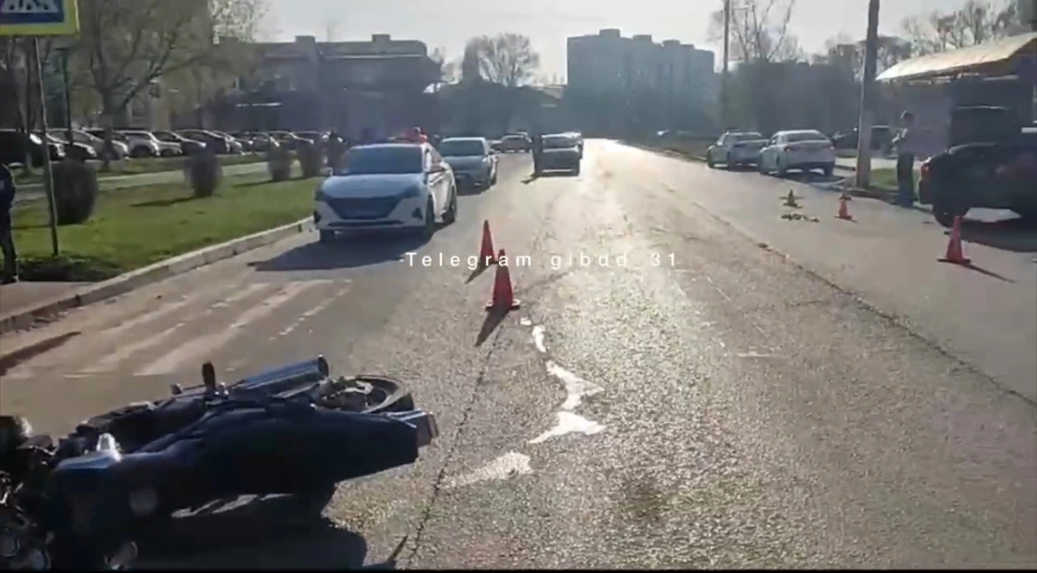 IMG_4359.jpeg IMG_4359.jpeg