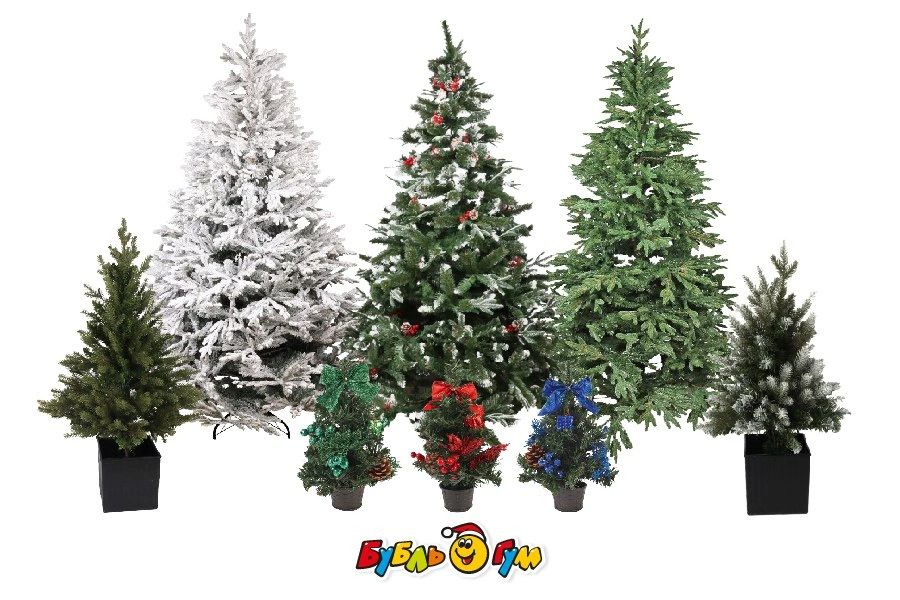 photo_2023-12-12_10-51-41 (10).jpg