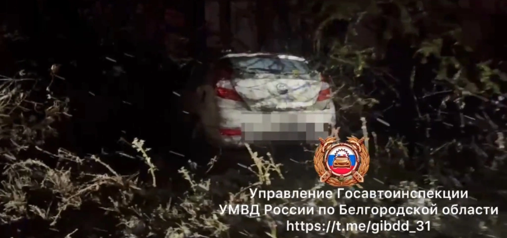 IMG_5666.jpeg IMG_5666.jpeg