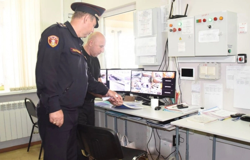 qSb-FjivlpI.jpg qSb-FjivlpI.jpg