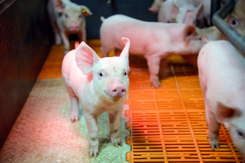 _DSC3270.jpg _DSC3270.jpg